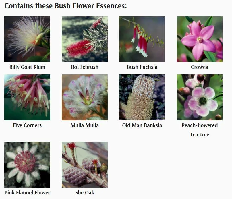Australian Bush Flower Woman Moisturiser