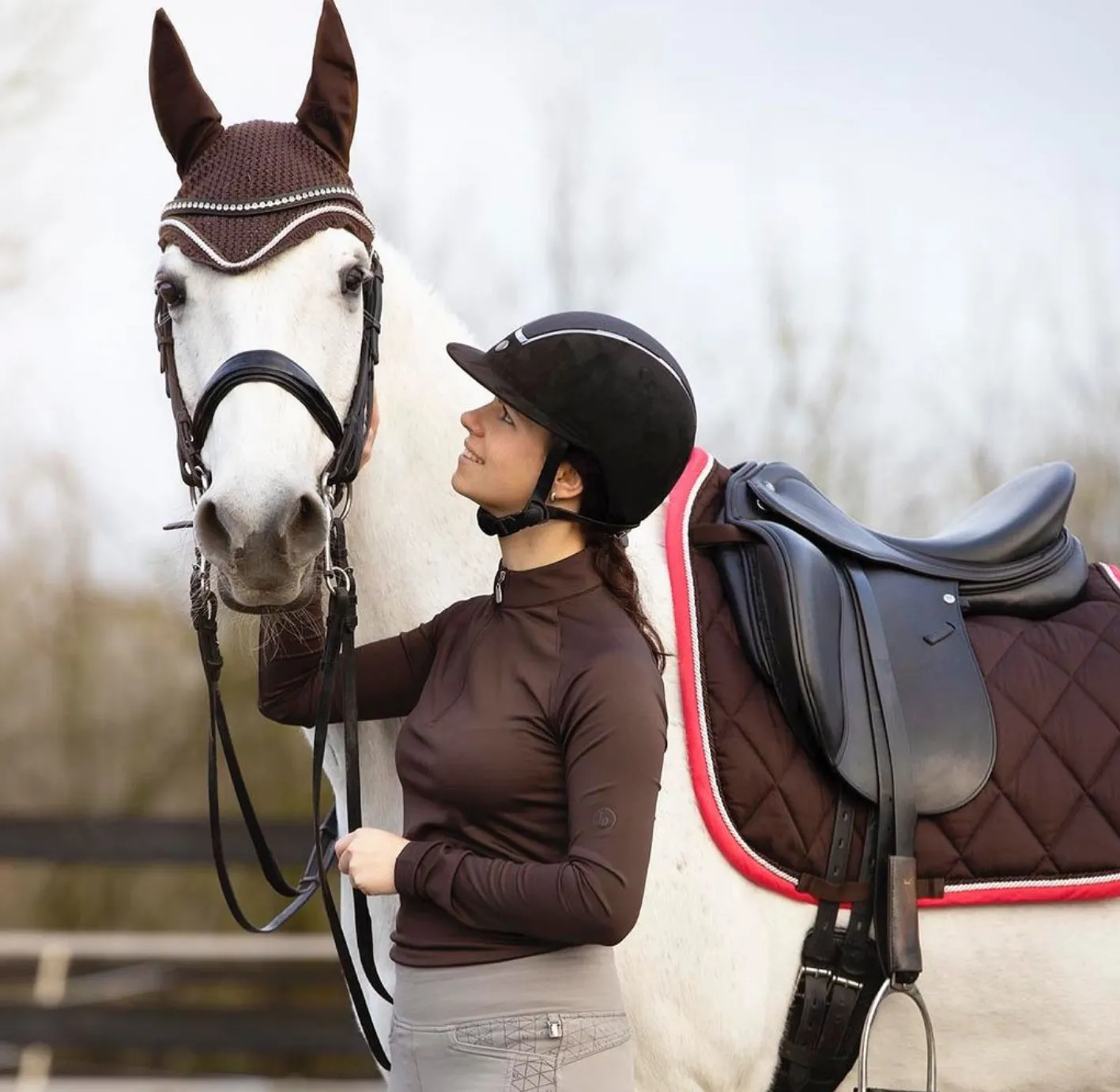 BR Event Java Dressage set