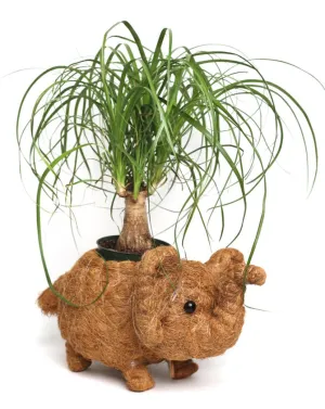 Elephant Planter
