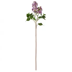 LILAC SPRAY