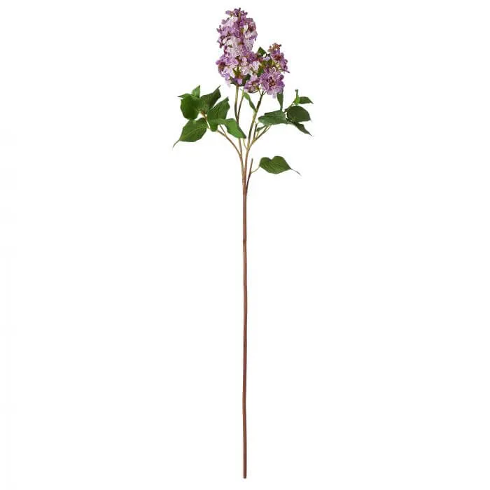 LILAC SPRAY