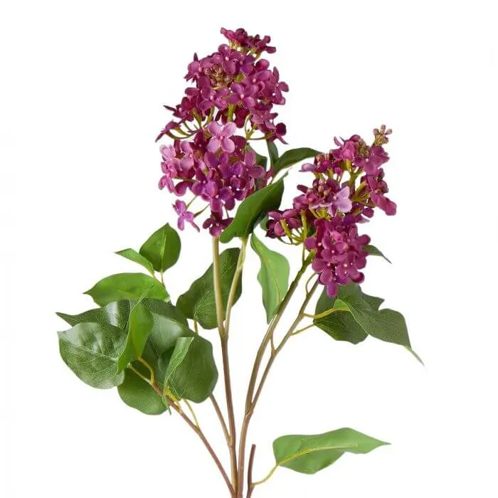 LILAC SPRAY