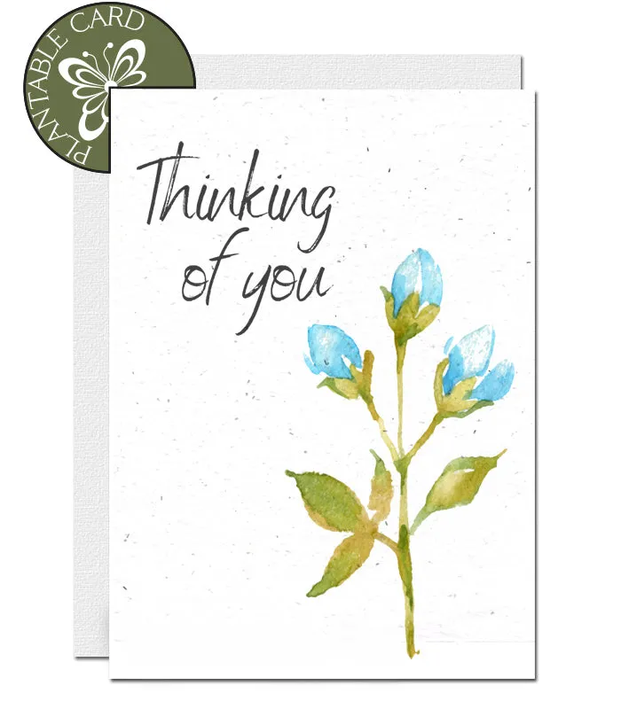 Plantable Condolence Card - Flower Buds