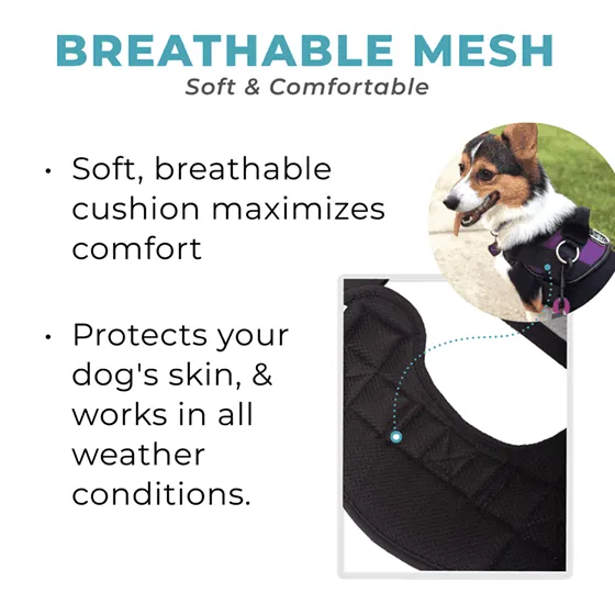 Tie Dye Joyride Basic Essential Dog Harness 1.0