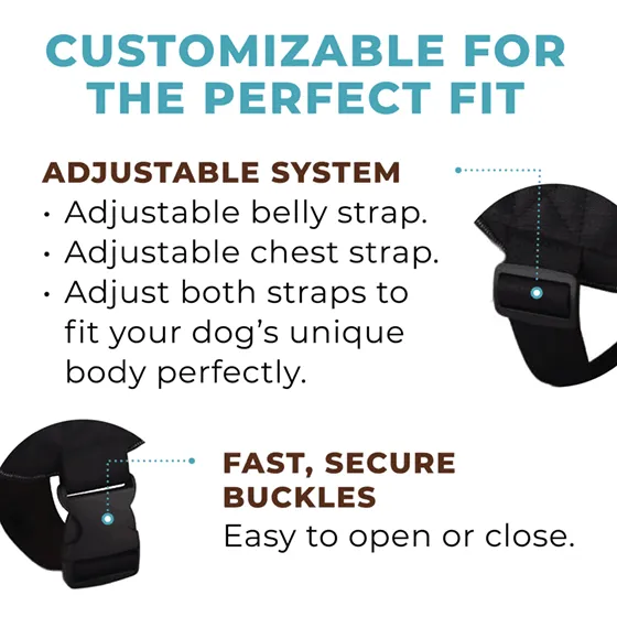 Tie Dye Joyride Basic Essential Dog Harness 1.0