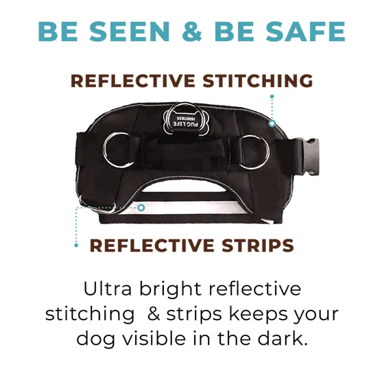Tie Dye Joyride Basic Essential Dog Harness 1.0